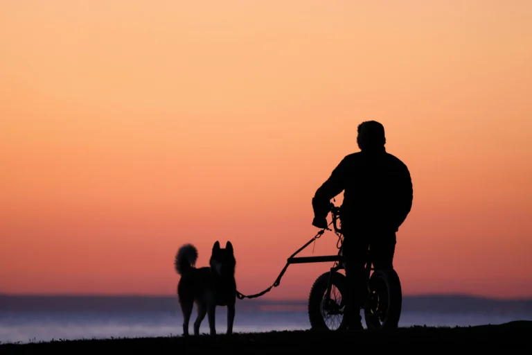 How To Bike With Your Dog